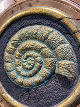 Load image into Gallery viewer, AMMONITE
